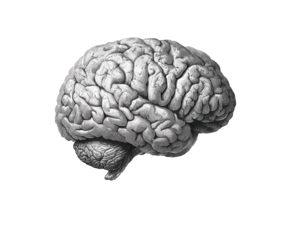 Understanding New Research on Toxic Protein Clumps in the Brain A Simple Guide for Patients & Caregivers